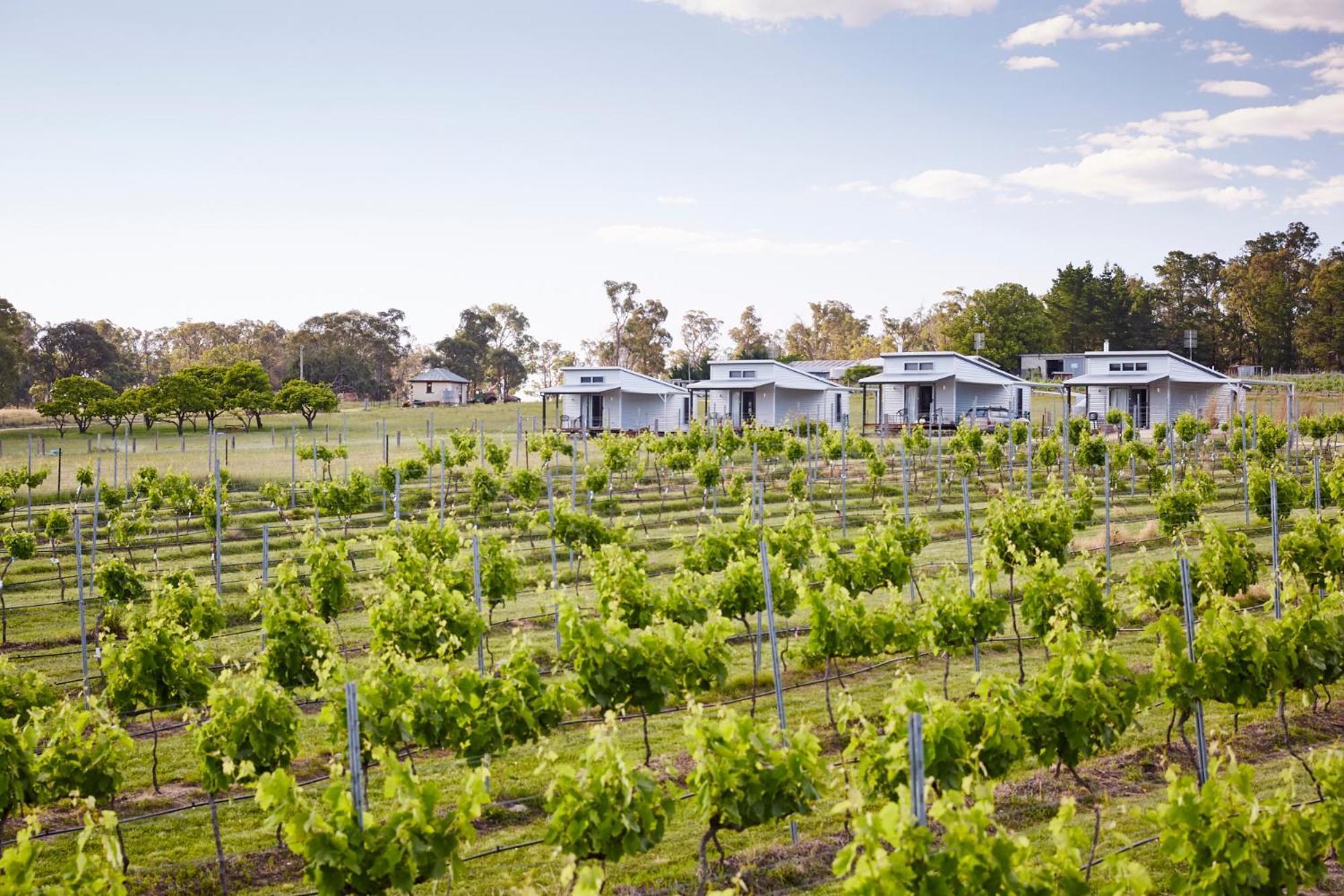 Ridgemill Estate Lejlighedshotel Stanthorpe Eksteriør billede