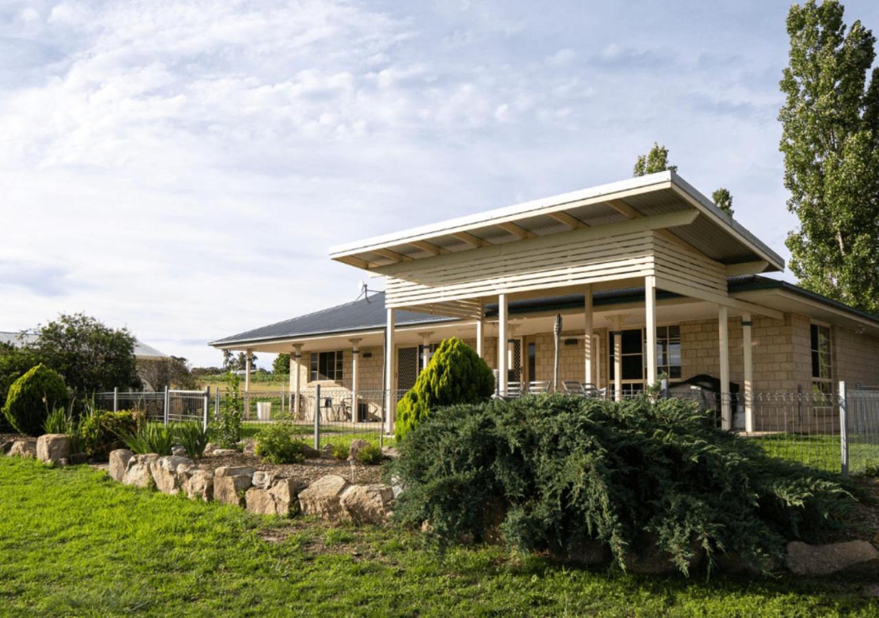 Ridgemill Estate Lejlighedshotel Stanthorpe Eksteriør billede